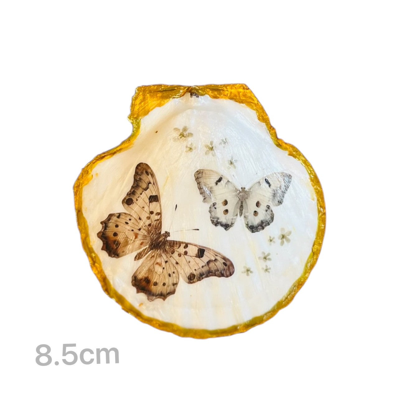 Historia del ángel | Capítulo del hada de las flores | Plato de joyería de concha de Degubat