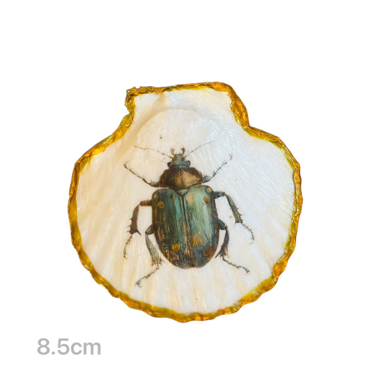 Historia del ángel | Capítulo del hada de las flores | Plato de joyería de concha de Degubat