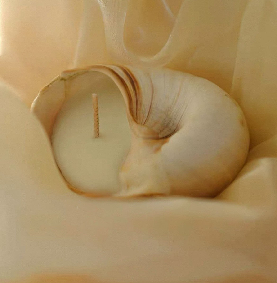 天使物語|許願天使香氛蠟燭